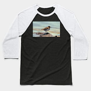 A Least Sandpiper Along a Shore Baseball T-Shirt